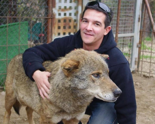 Con el lobo